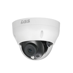 Bán CAMERA IP DOME DAHUA DS2431RDIP-S2 giá rẻ
