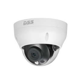 Bán CAMERA IP DOME DAHUA DS2431RDIP-S2 giá rẻ